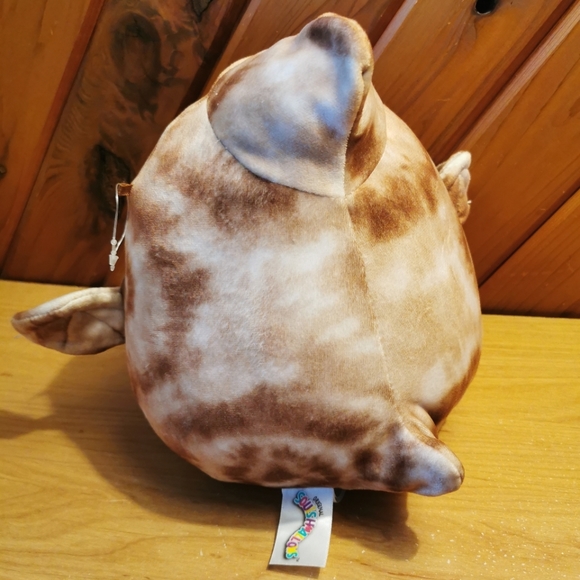 Edmund Squishmallow - Picture 4 of 4